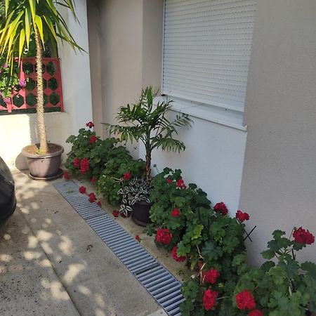 Apartments Ratkovic Требинье Экстерьер фото